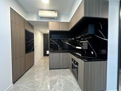 Irwell Hill Residences (D9), Apartment #455717391